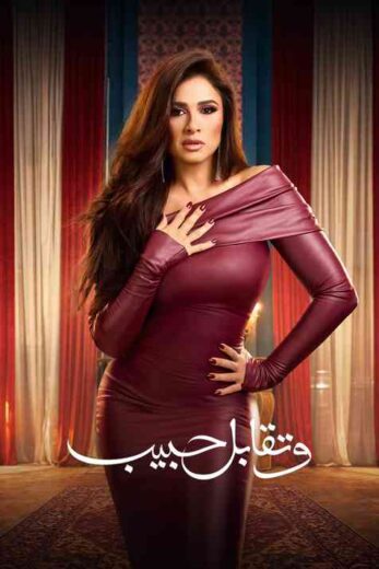 مسلسل وتقابل حبيب الحلقة 22 الثانية والعشرون